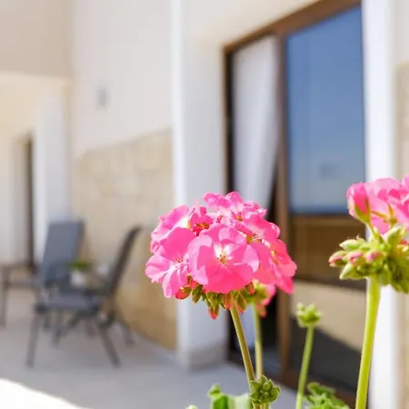 The Elysian Pafos