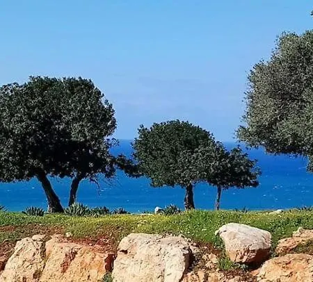 The Elysian Daire Pafos